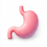 Digestive Health