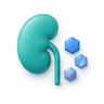 Kidney & Mineral Balance