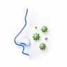 Allergic Rhinitis