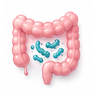 Gut Infections
