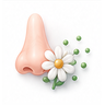 Hay Fever