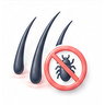 Head Lice