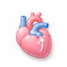 Keeping A Newborn Heart Duct Open