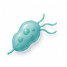 Protozoal Infections