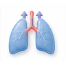 Pulmonary Arterial Hypertension
