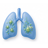 Respiratory Infections